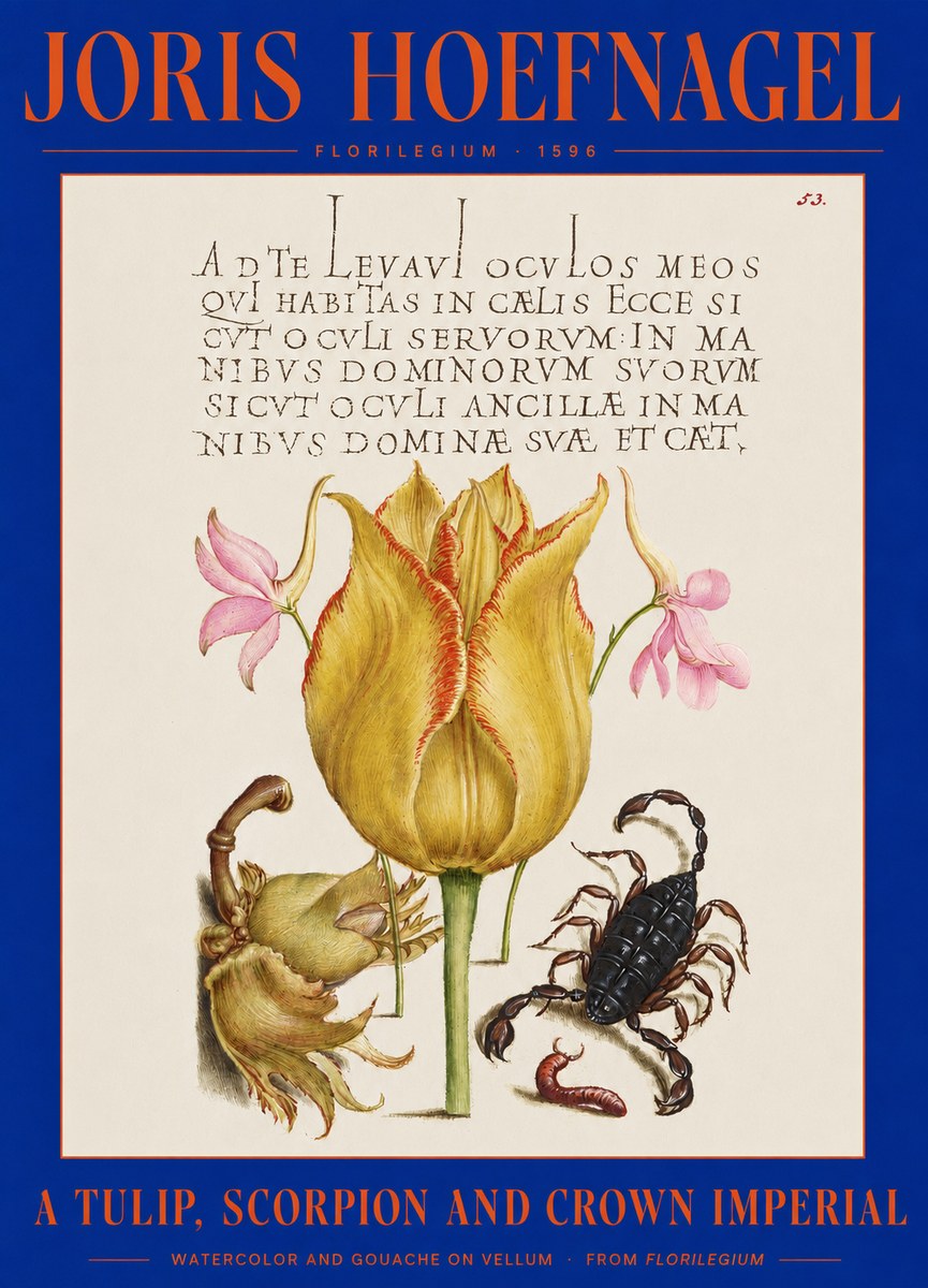 Joris Hoefnagel A Tulip, Scorpion and Crown Imperial No2 - Póster