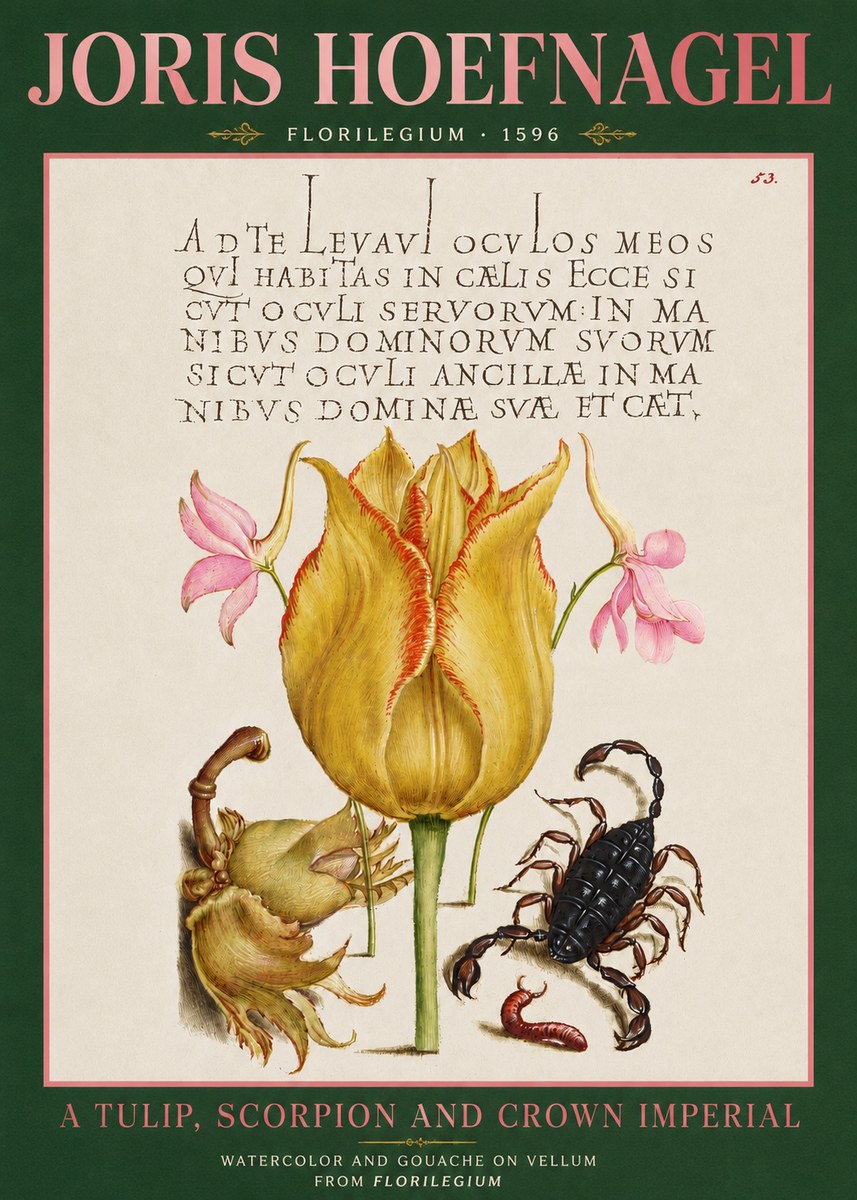 Joris Hoefnagel A Tulip, Scorpion and Crown Imperial No3 - Póster