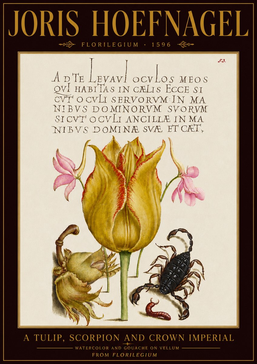 Joris Hoefnagel A Tulip, Scorpion and Crown Imperial No5 - Póster