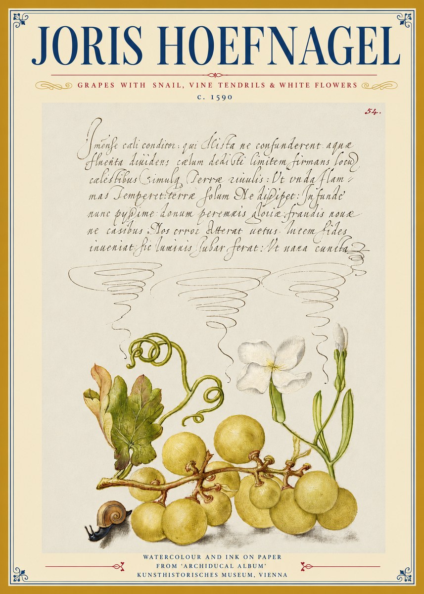 Joris Hoefnagel Grapes with Snail, Vine Tendrils & White Flowers No3 - Póster