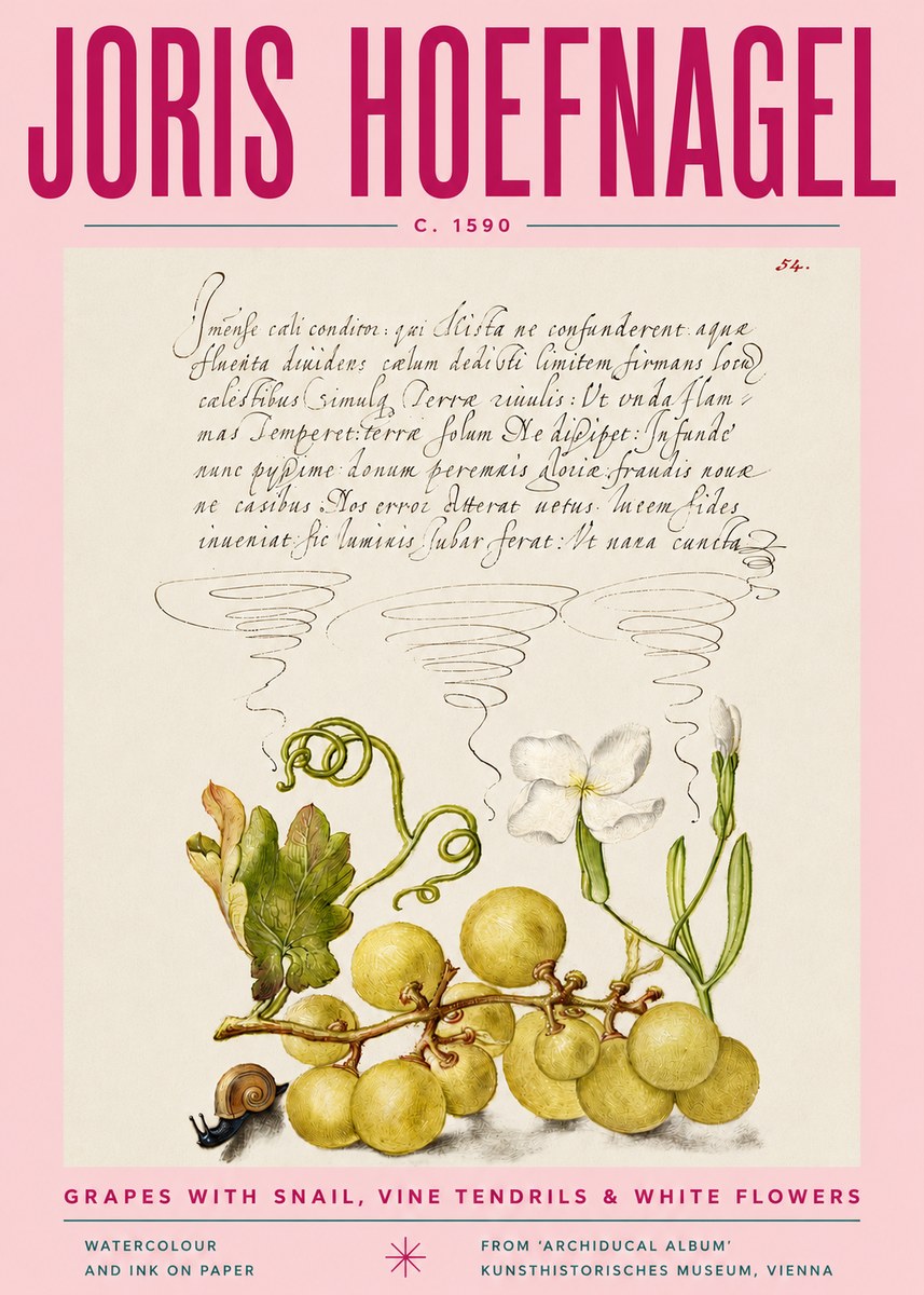 Joris Hoefnagel Grapes with Snail, Vine Tendrils & White Flowers No4 - Póster
