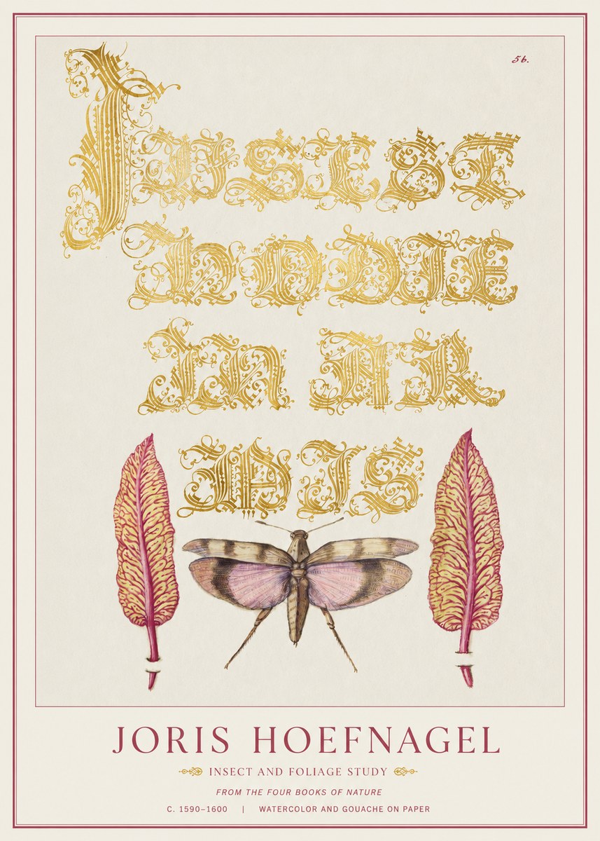 Joris Hoefnagel Insect and Foliage Study No1 - Póster