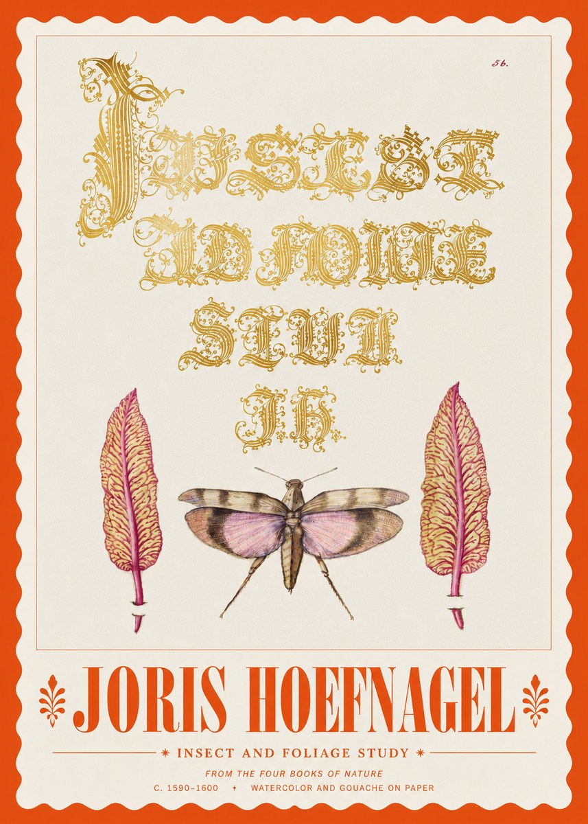 Joris Hoefnagel Insect and Foliage Study No3 - Póster