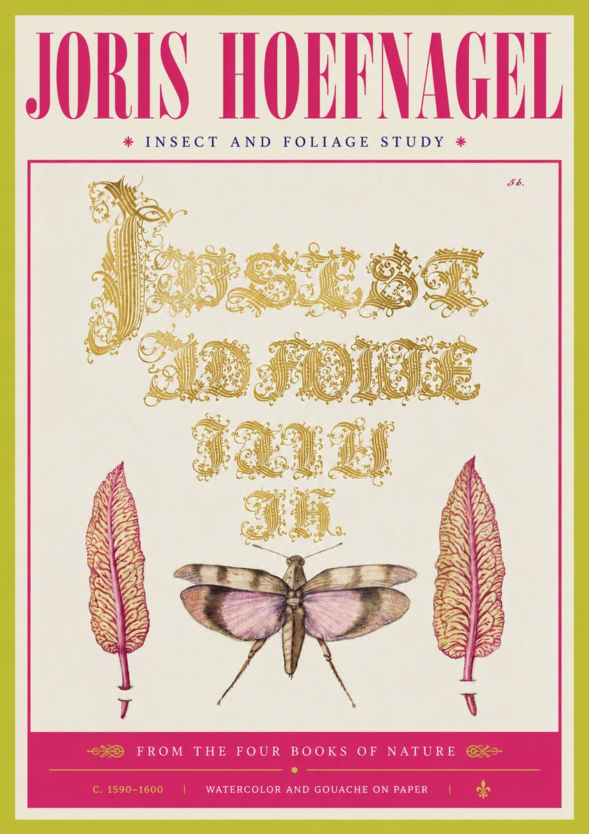 Joris Hoefnagel Insect and Foliage Study No4 - Póster