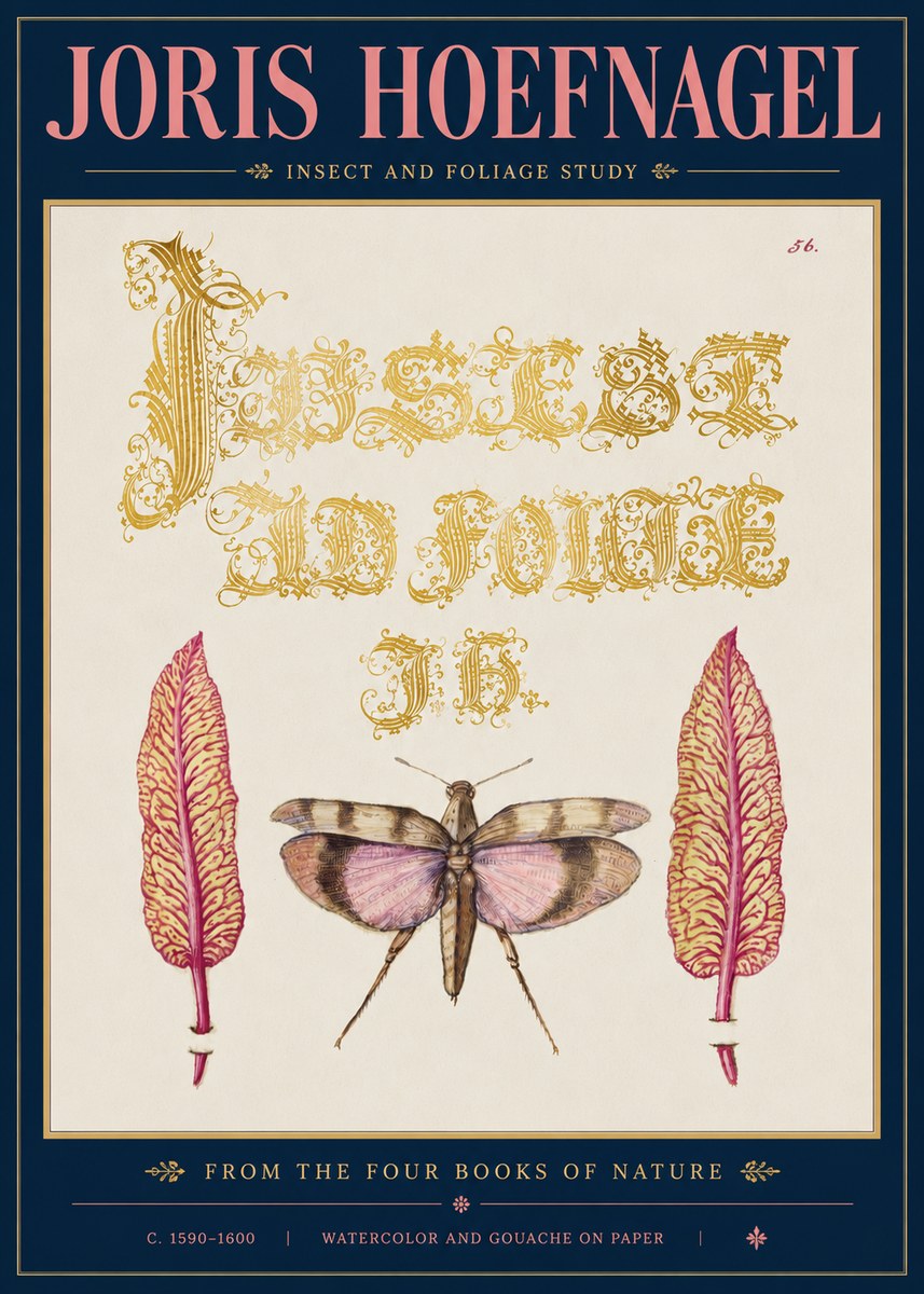Joris Hoefnagel Insect and Foliage Study No5 - Póster