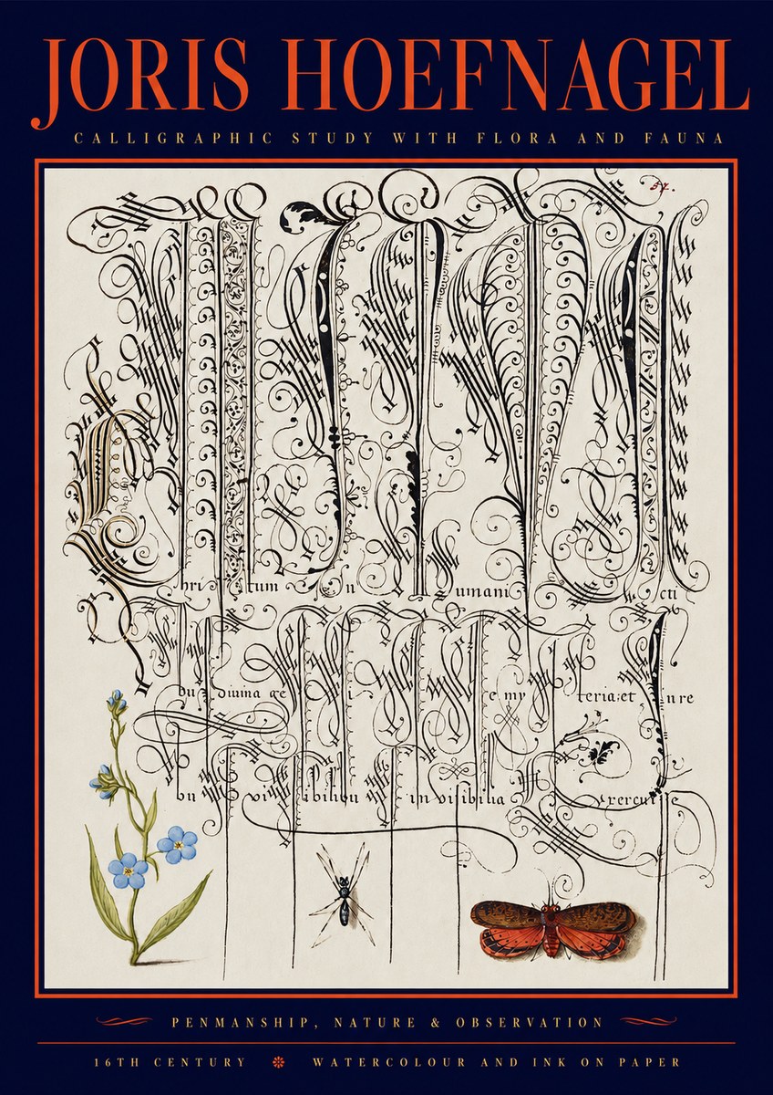 Joris Hoefnagel Calligraphic Study with Flora and Fauna No2 - Póster