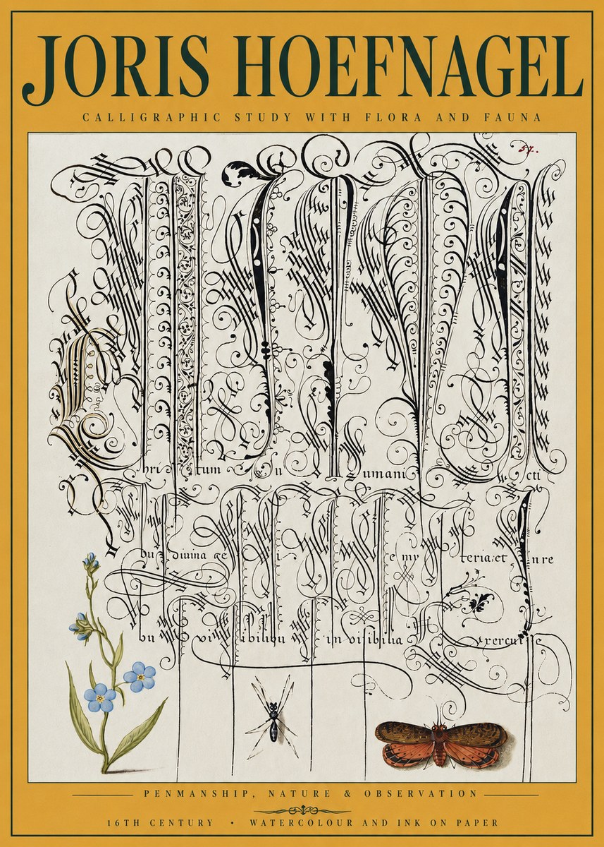Joris Hoefnagel Calligraphic Study with Flora and Fauna No3 - Póster