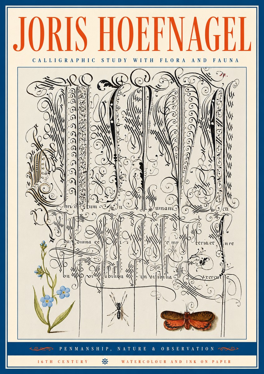 Joris Hoefnagel Calligraphic Study with Flora and Fauna No5 - Póster