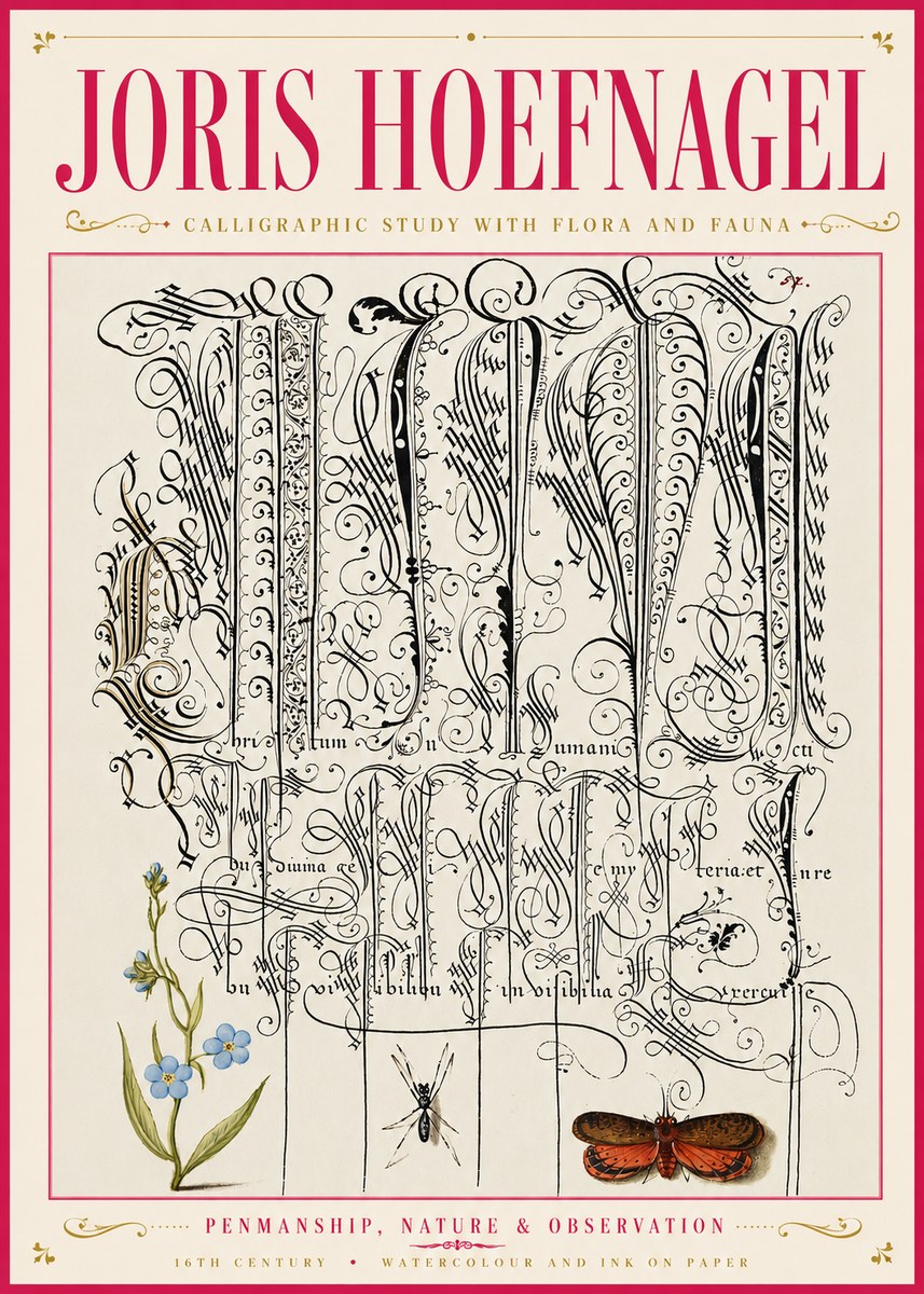 Joris Hoefnagel Calligraphic Study with Flora and Fauna No6 - Póster