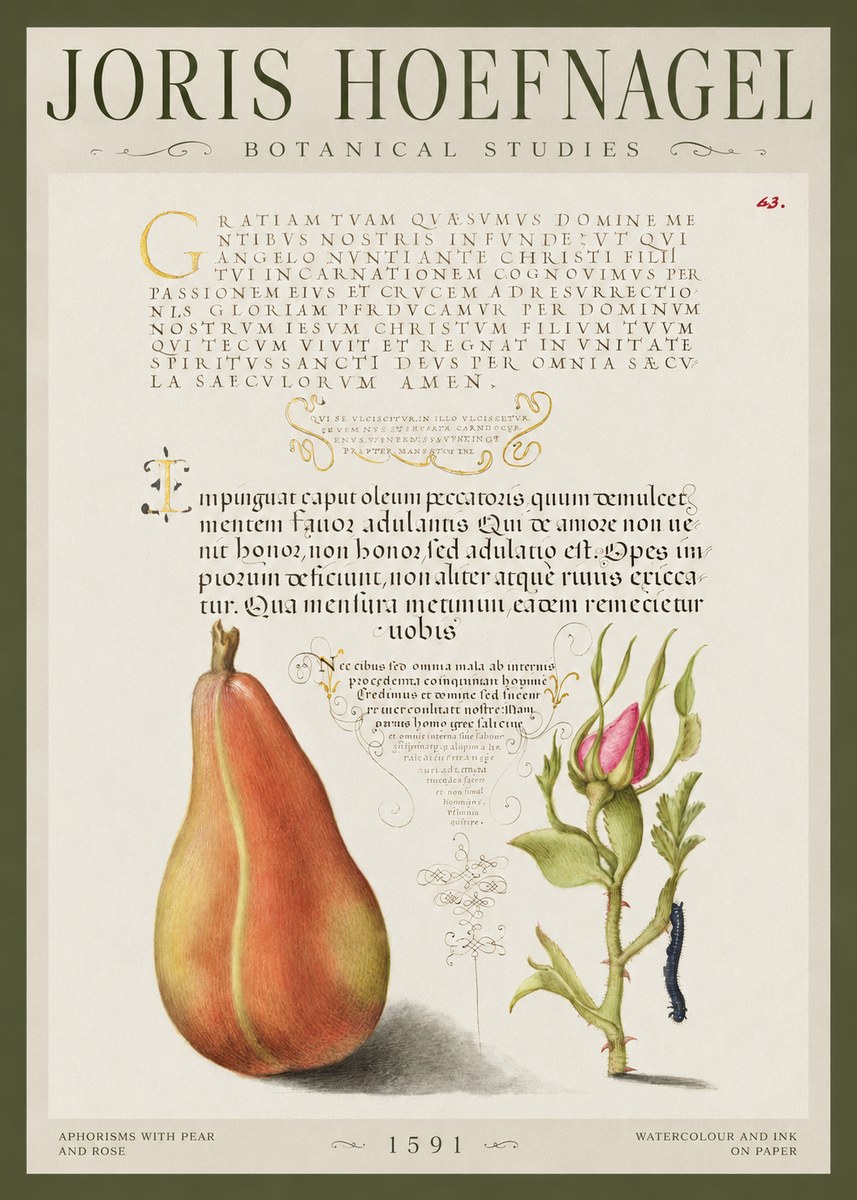 Joris Hoefnagel Aphorisms with Pear and Rose No1 - Póster
