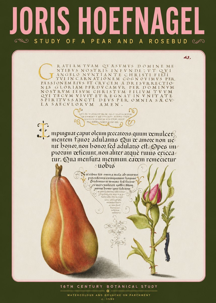 Joris Hoefnagel Aphorisms with Pear and Rose No4 - Póster
