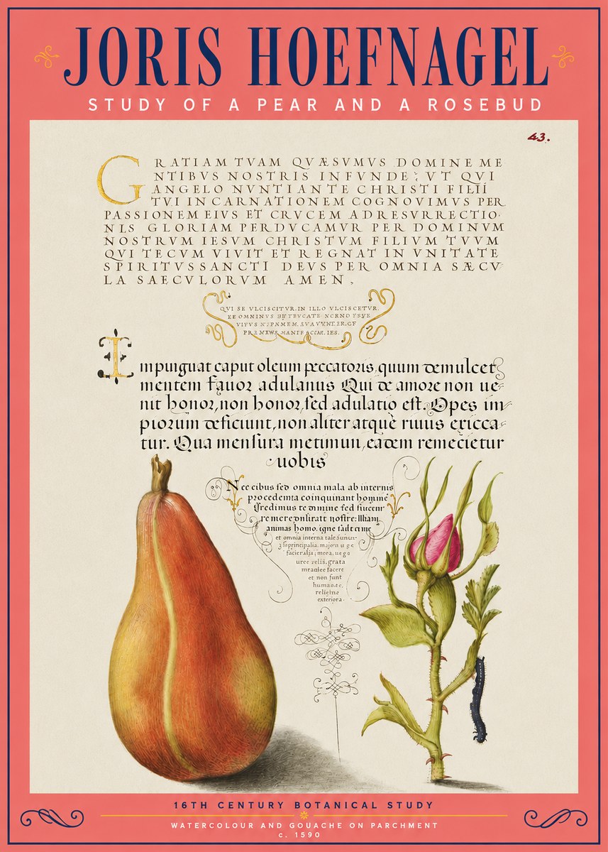 Joris Hoefnagel Aphorisms with Pear and Rose No5 - Póster