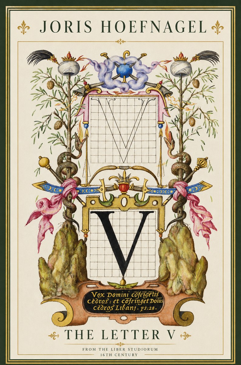 Joris Hoefnagel The Letter V No2 - Póster