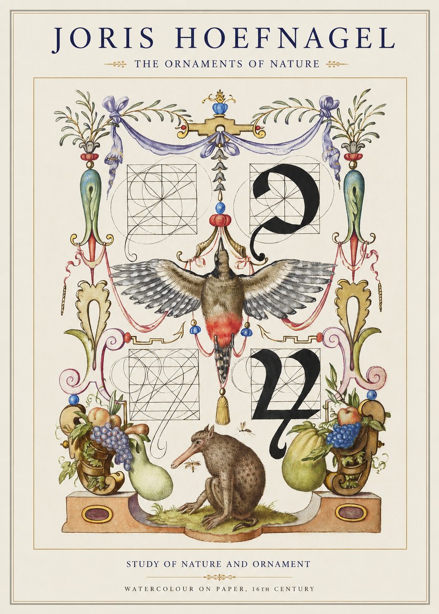 Joris Hoefnagel Study of Nature and Ornament No1 - Póster