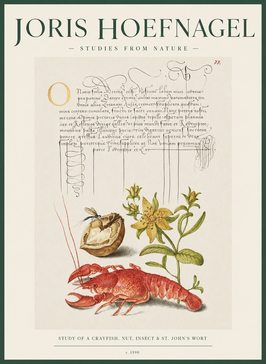 Joris Hoefnagel Studies from Nature No2 - Póster