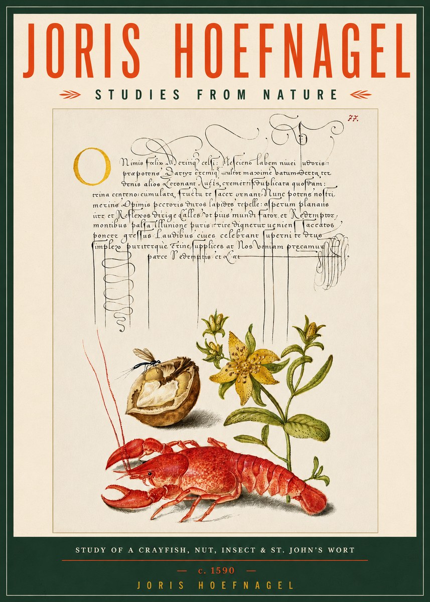 Joris Hoefnagel Studies from Nature No5 - Póster