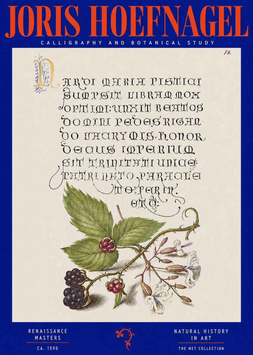 Joris Hoefnagel Calligraphy and Botanical Study II No2 - Póster