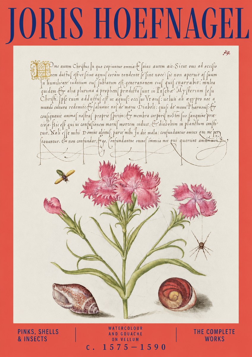 Joris Hoefnagel Pinks, Shells & Insects No3 - Póster