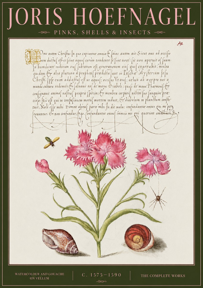 Joris Hoefnagel Pinks, Shells & Insects No4 - Póster