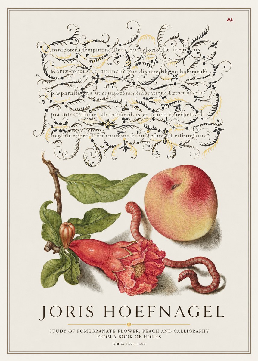 Joris Hoefnagel Study of Pomegranate Flower, Peach and Calligraphy from a Book of Hours No1 - Póster