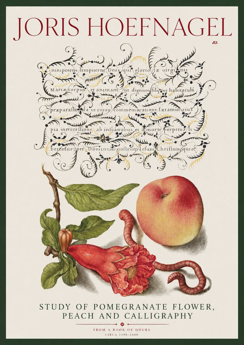 Joris Hoefnagel Study of Pomegranate Flower, Peach and Calligraphy from a Book of Hours No2 - Póster