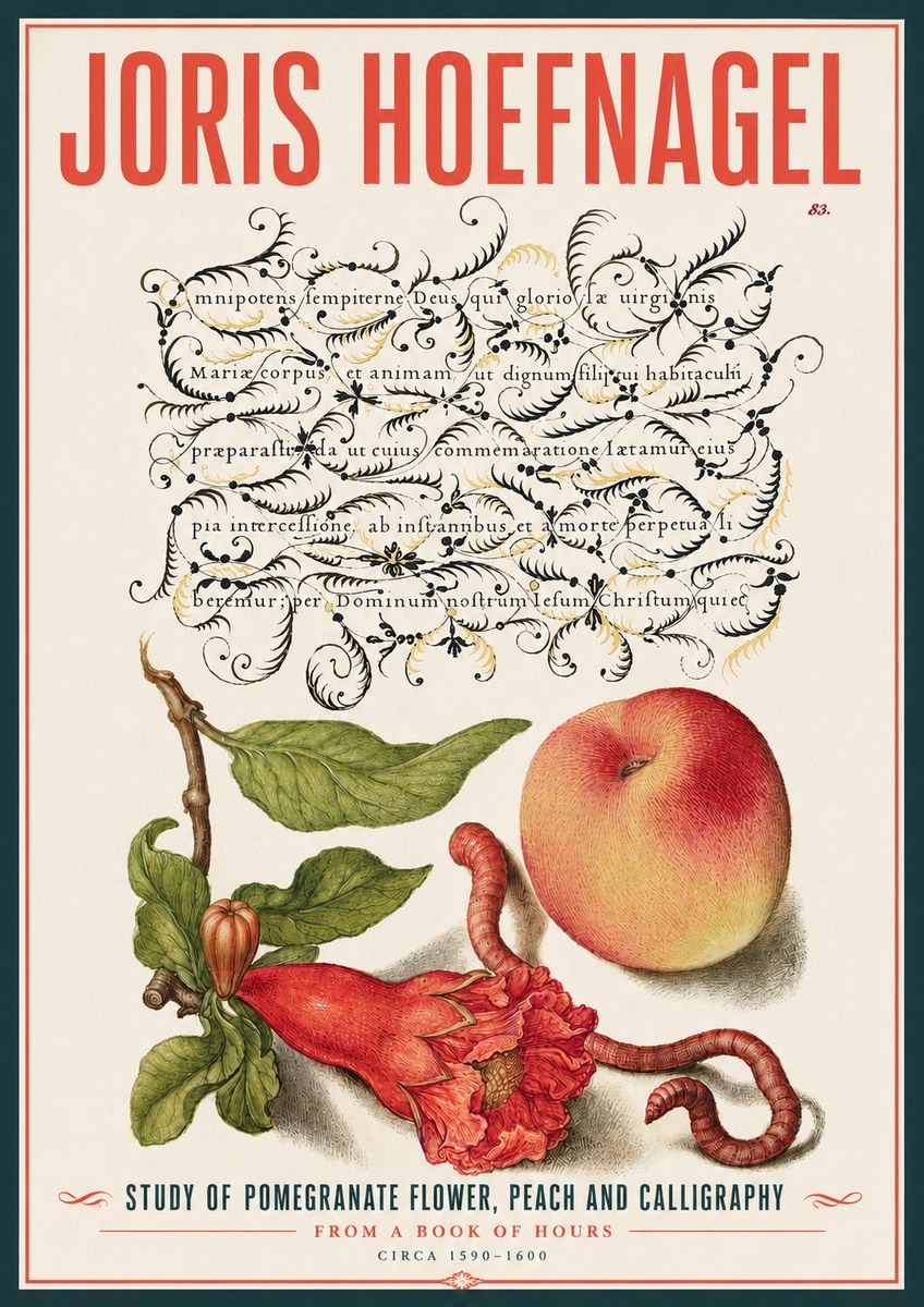 Joris Hoefnagel Study of Pomegranate Flower, Peach and Calligraphy from a Book of Hours No4 - Póster