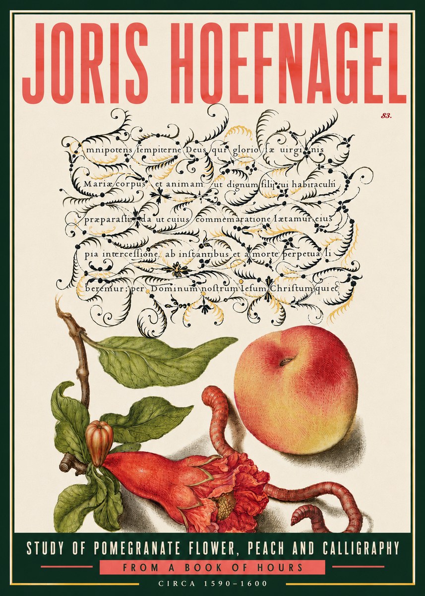 Joris Hoefnagel Study of Pomegranate Flower, Peach and Calligraphy from a Book of Hours No6 - Póster
