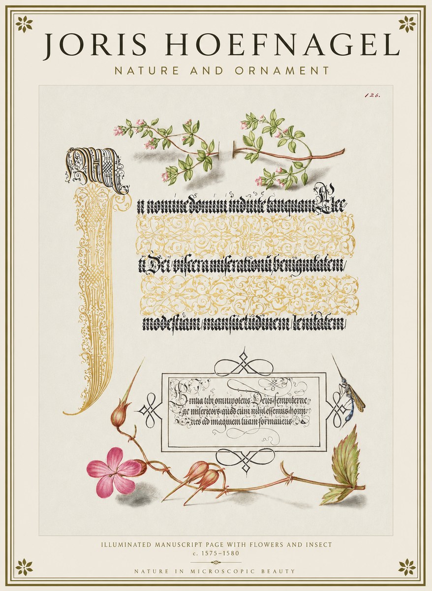 Joris Hoefnagel Illuminated Manuscript Page with Flowers and Insect No1 - Póster
