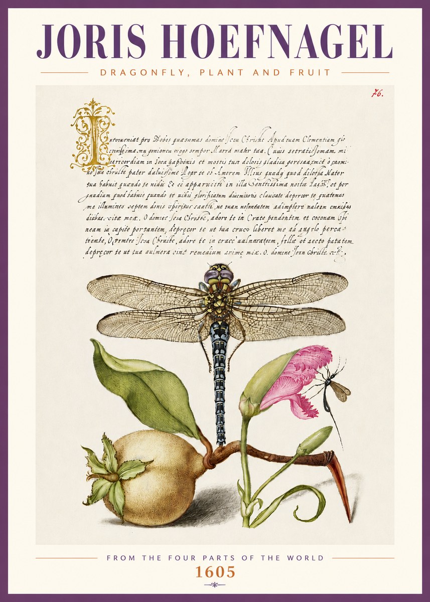 Joris Hoefnagel Dragonfly, Plant and Fruit No4 - Póster