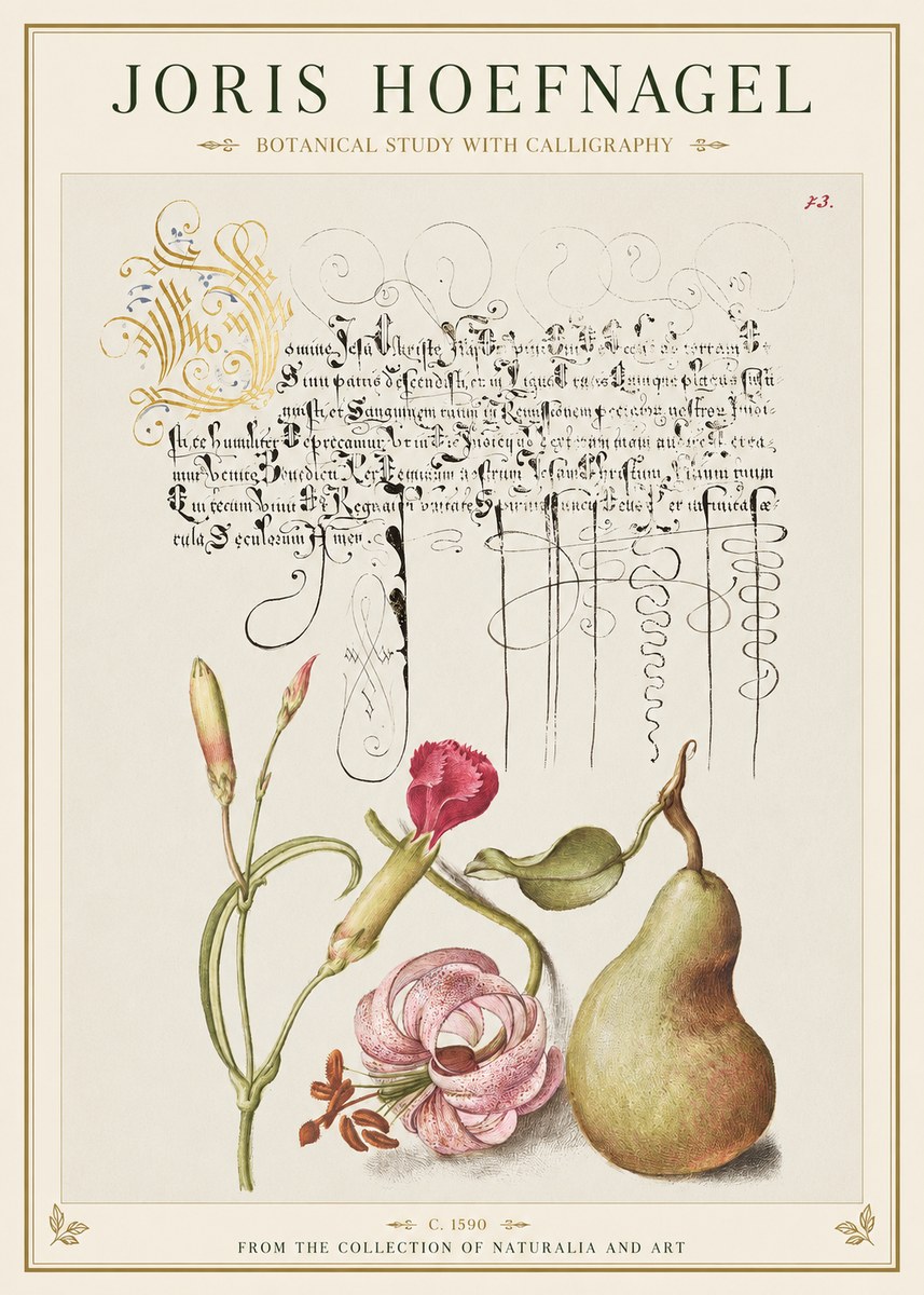 Joris Hoefnagel Botanical Study with Calligraphy II No1 - Póster