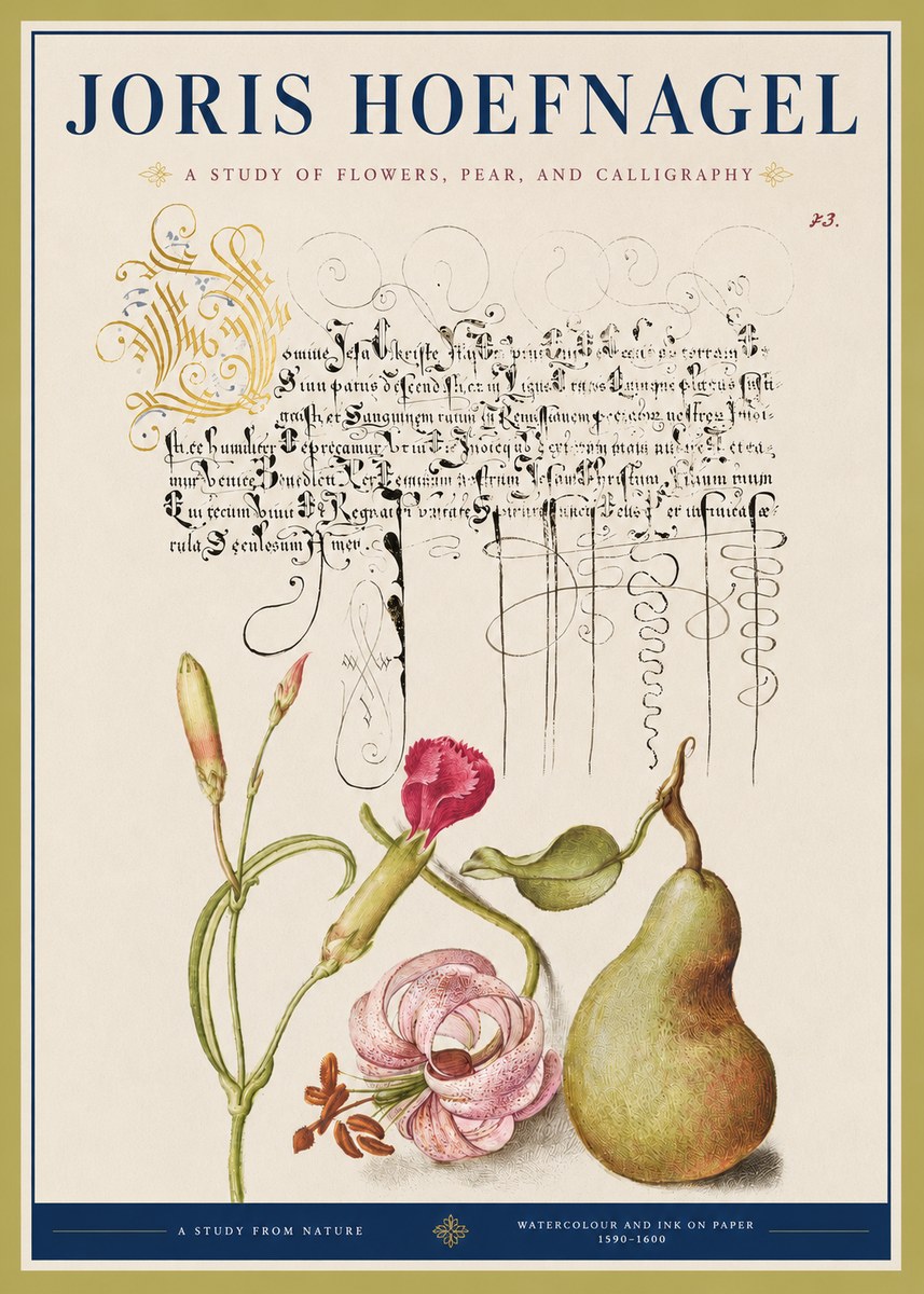 Joris Hoefnagel Botanical Study with Calligraphy II No4 - Póster