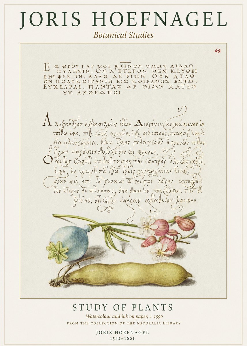 Joris Hoefnagel Study of Plants I No1 - Póster