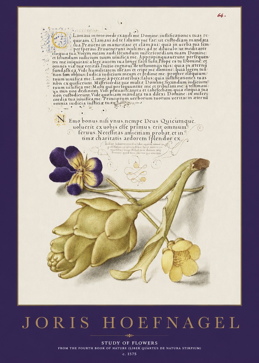 Joris Hoefnagel Botanical Study with Calligraphy III No3 - Póster
