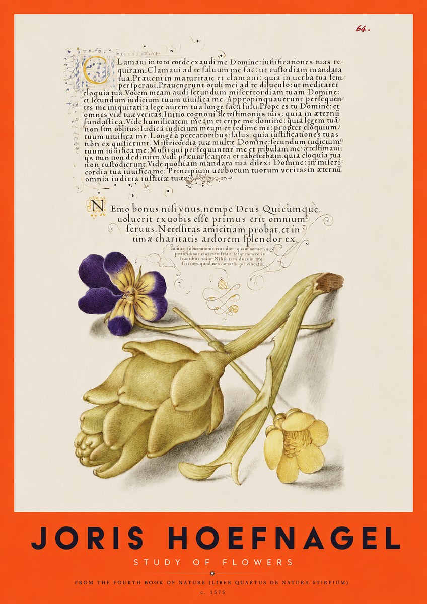 Joris Hoefnagel Botanical Study with Calligraphy III No4 - Póster