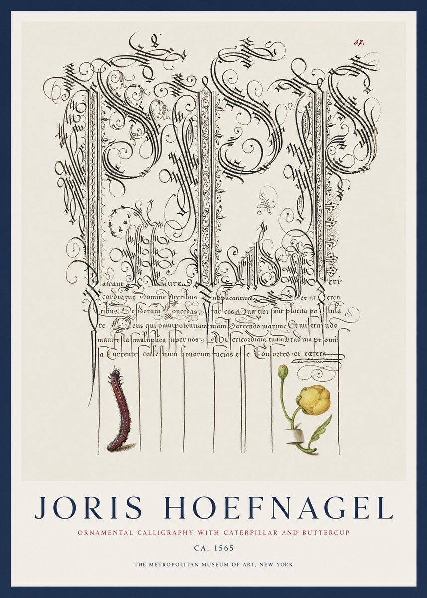 Joris Hoefnagel Ornamental Calligraphy with Caterpillar and Buttercup No1 - Póster