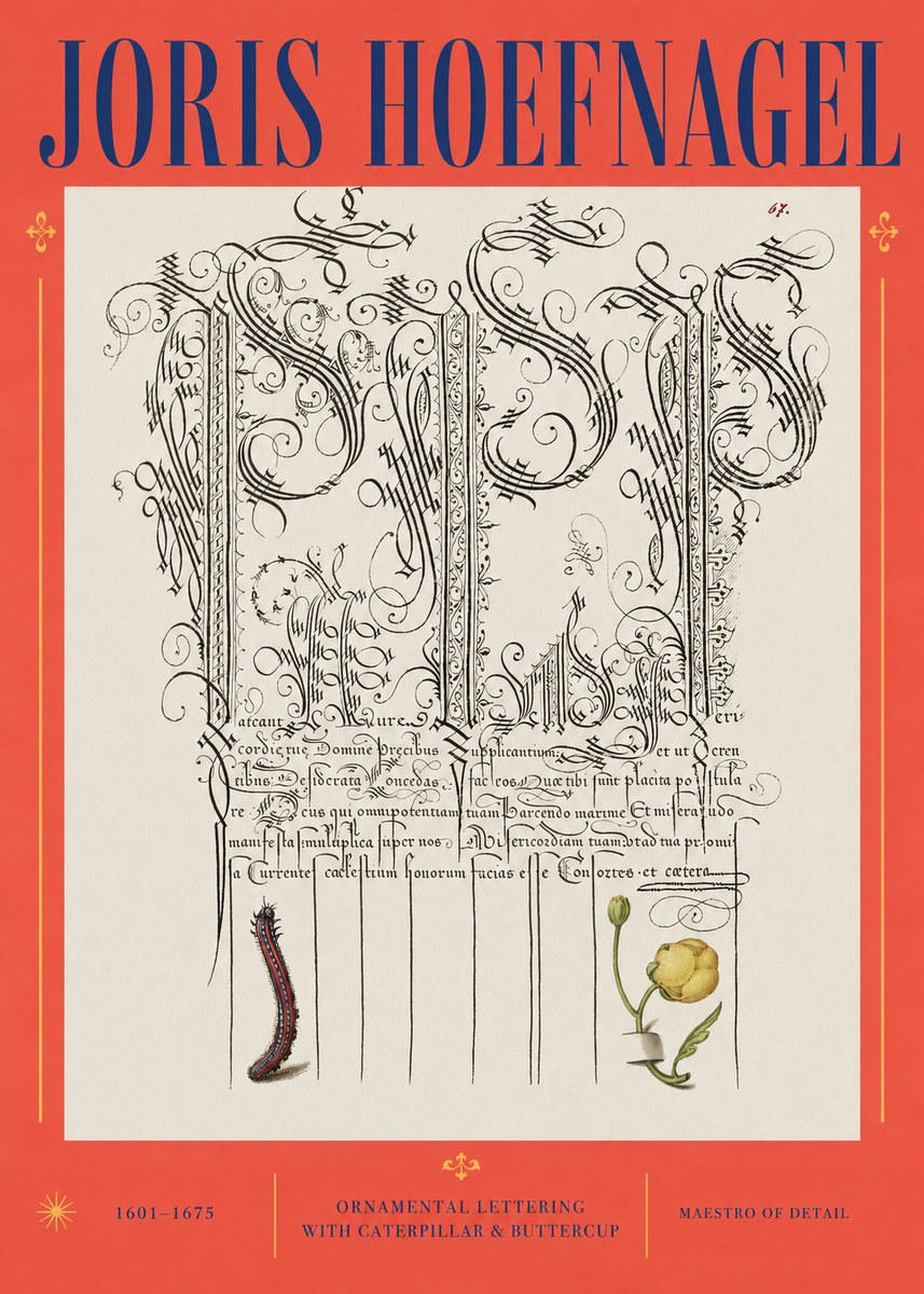 Joris Hoefnagel Ornamental Calligraphy with Caterpillar and Buttercup No3 - Póster