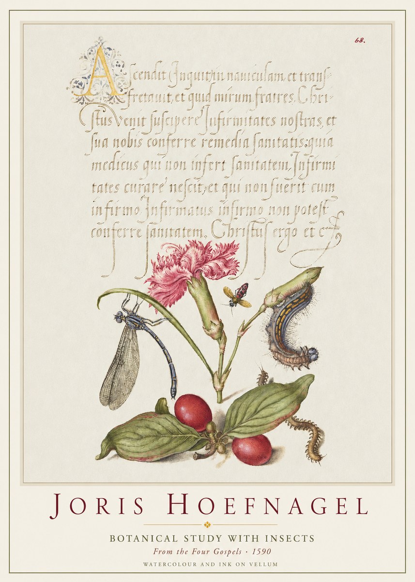 Joris Hoefnagel Botanical Study with Insects No1 - Póster