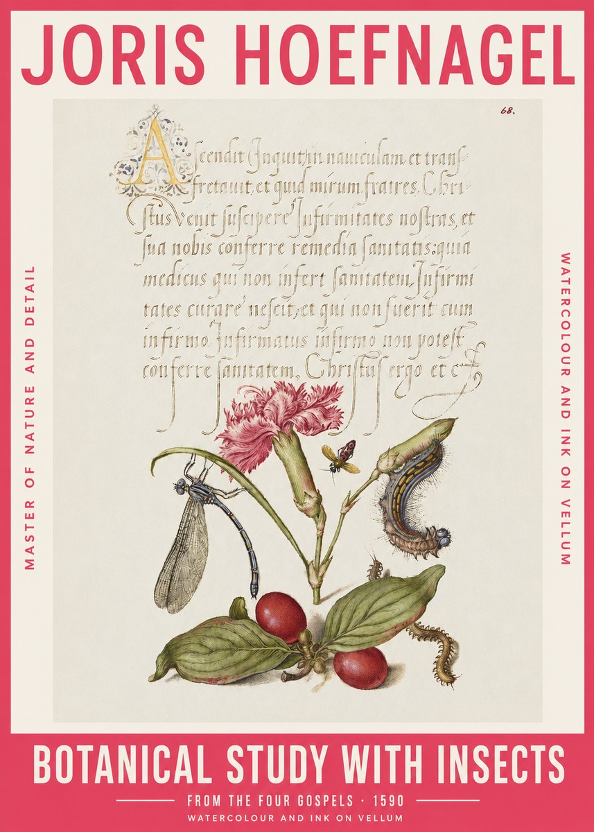 Joris Hoefnagel Botanical Study with Insects No2 - Póster