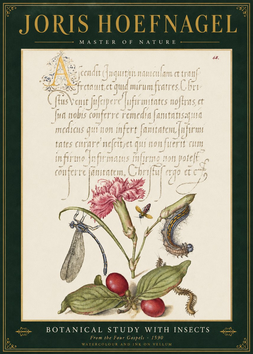 Joris Hoefnagel Botanical Study with Insects No3 - Póster