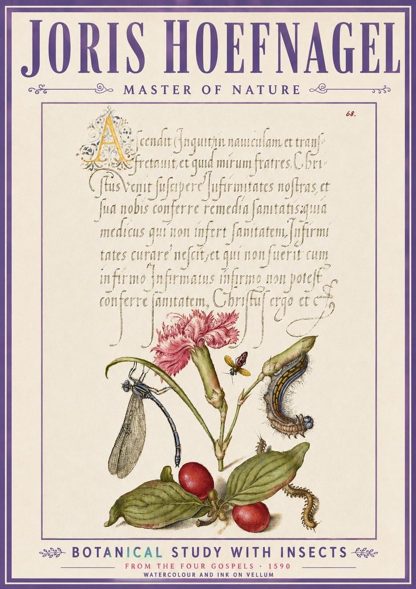 Joris Hoefnagel Botanical Study with Insects No6 - Póster