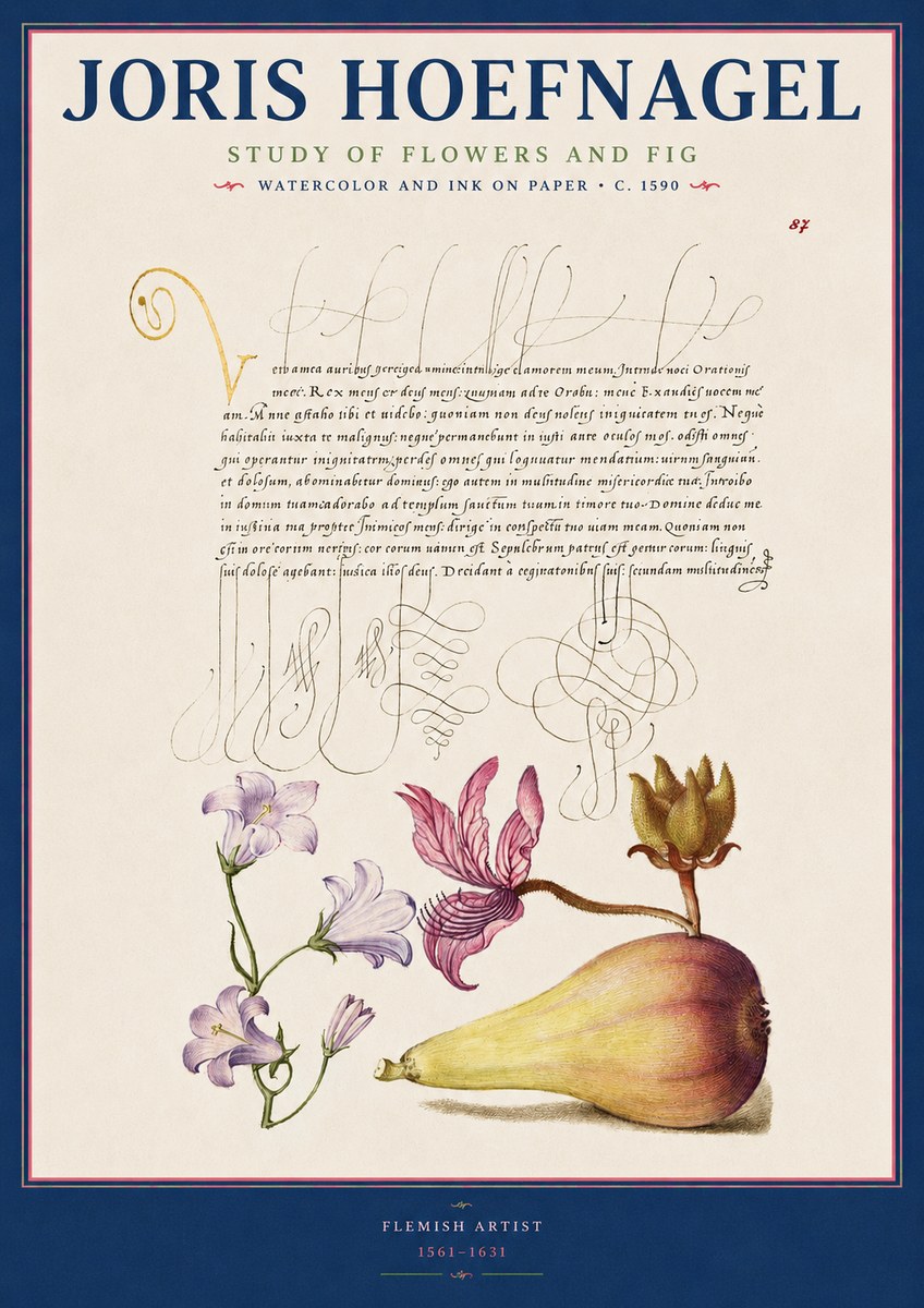 Joris Hoefnagel Study of Plants II No3 - Póster