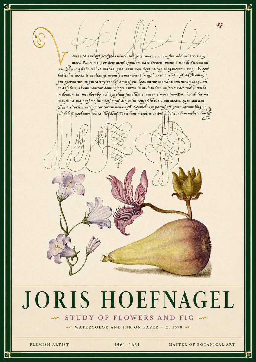 Joris Hoefnagel Study of Plants II No6 - Póster
