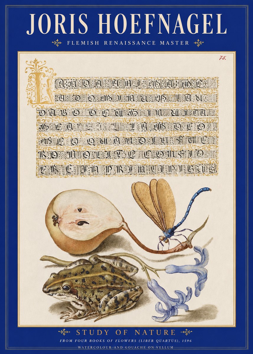 Joris Hoefnagel Study of Nature II No2 - Póster