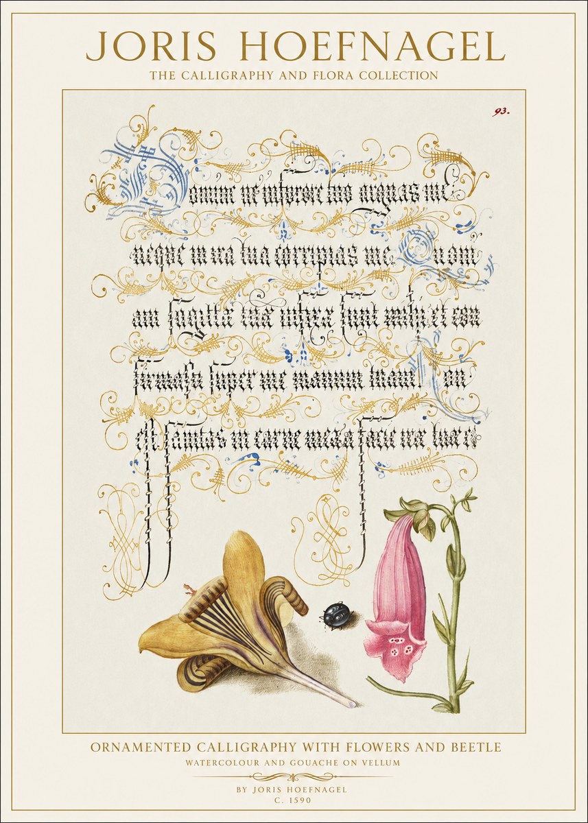Joris Hoefnagel Ornamented Calligraphy with Flowers and Beetle No1 - Póster