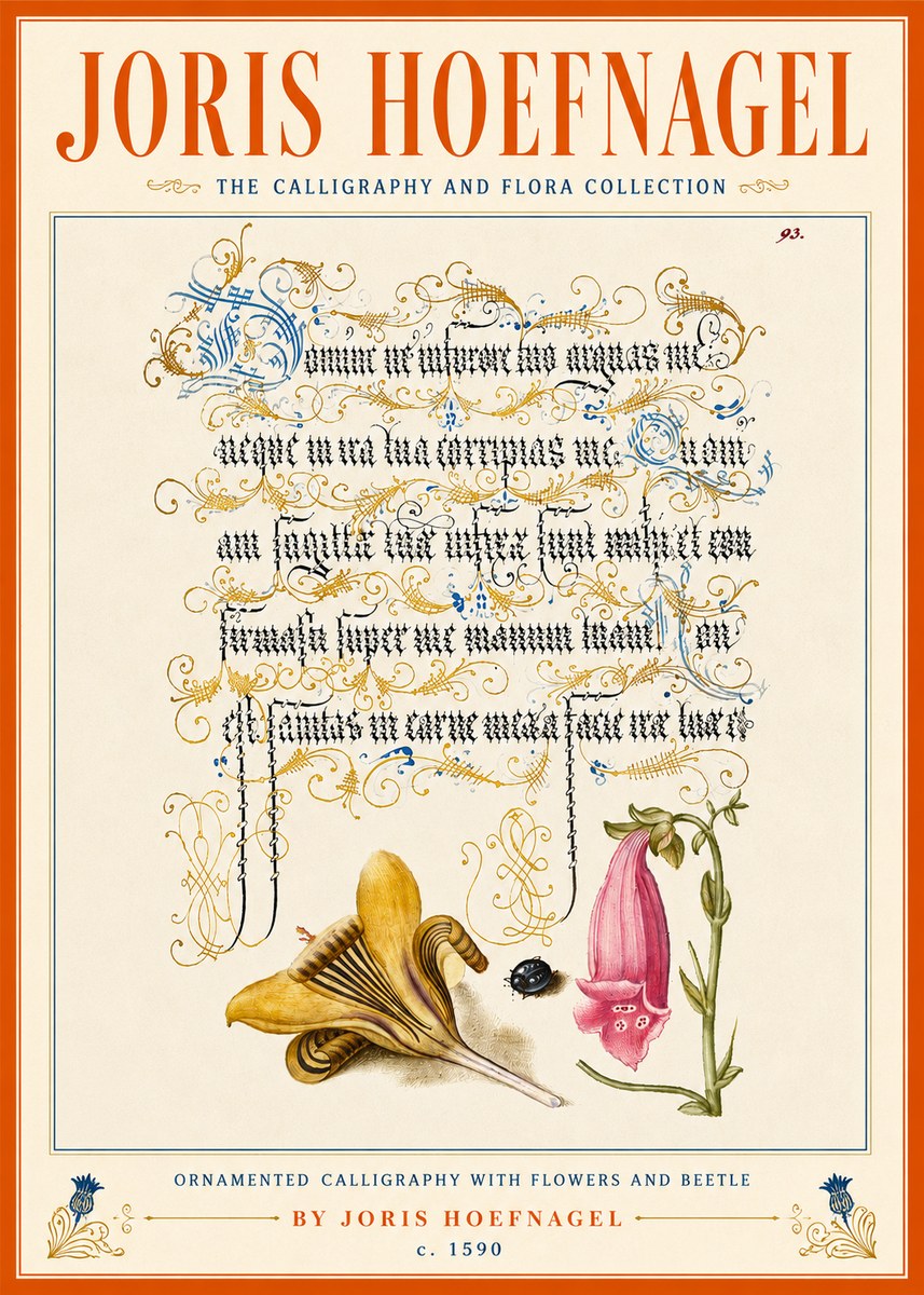 Joris Hoefnagel Ornamented Calligraphy with Flowers and Beetle No5 - Póster