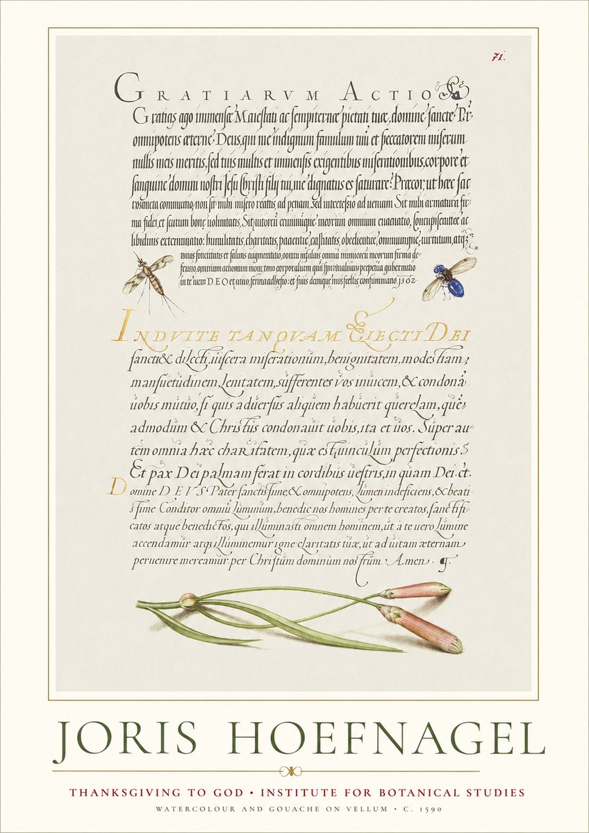 Joris Hoefnagel Thanksgiving to God • Institute for Botanical Studies No1 - Póster