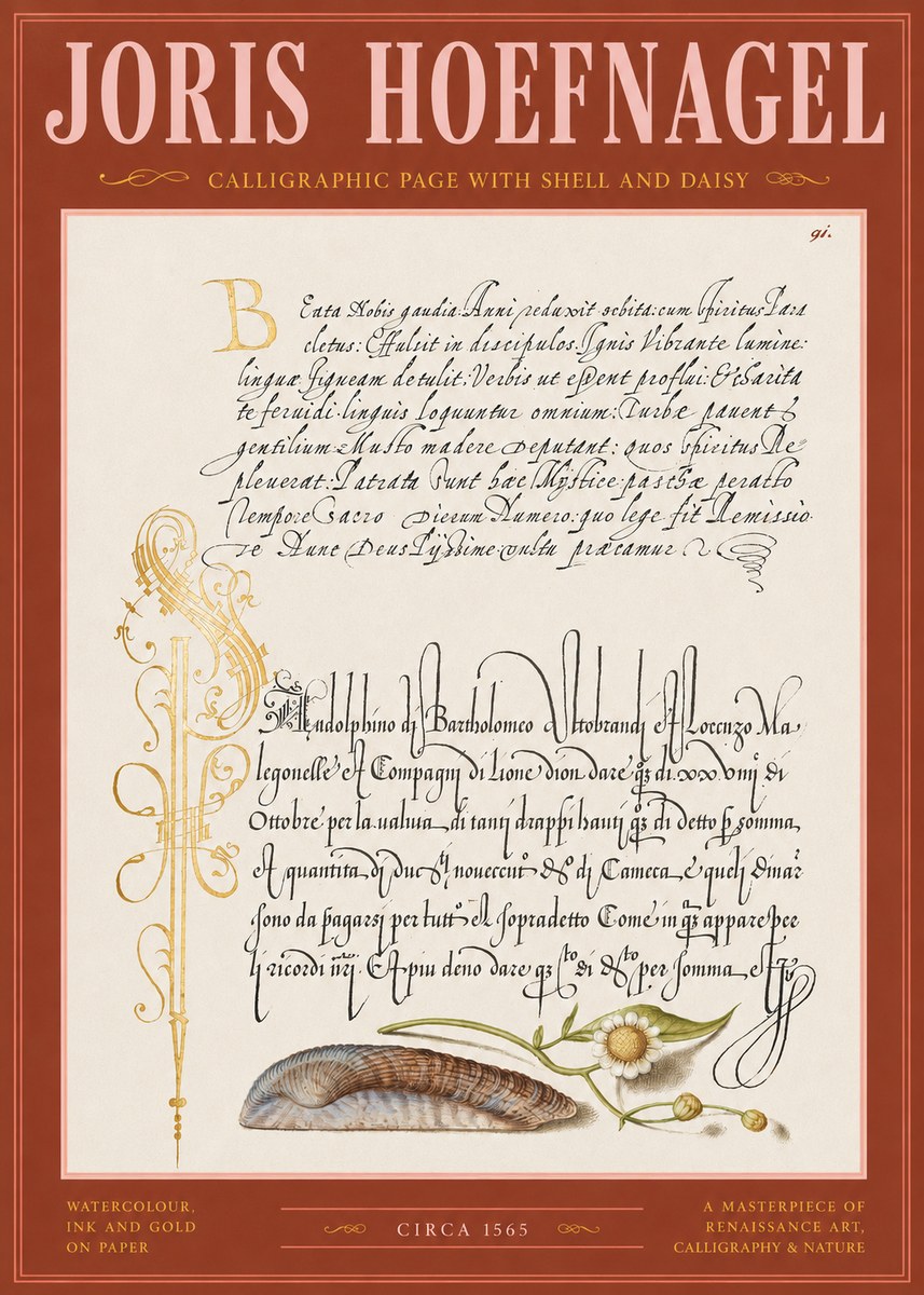 Joris Hoefnagel Calligraphic Page with Shell and Daisy No2 - Póster
