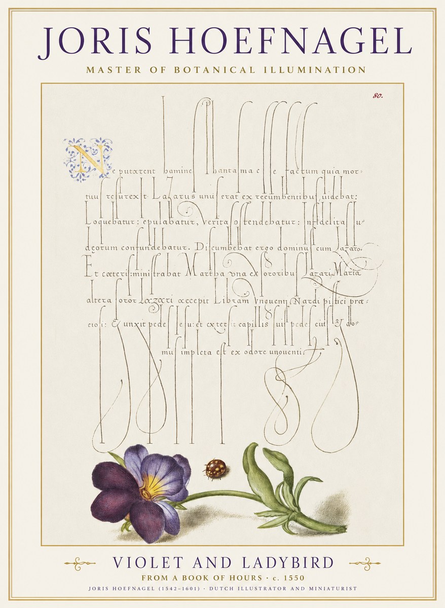 Joris Hoefnagel Violet and Ladybird No1 - Póster