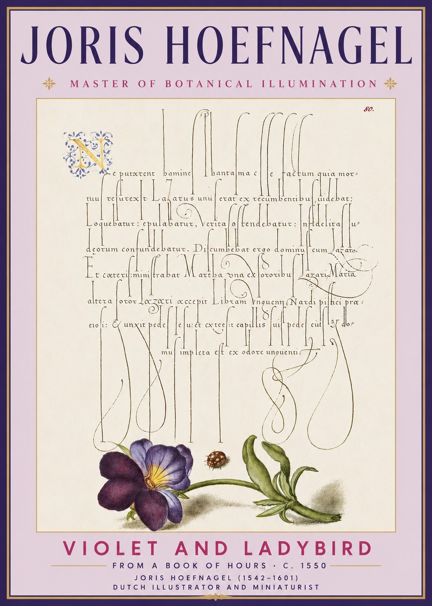 Joris Hoefnagel Violet and Ladybird No3 - Póster