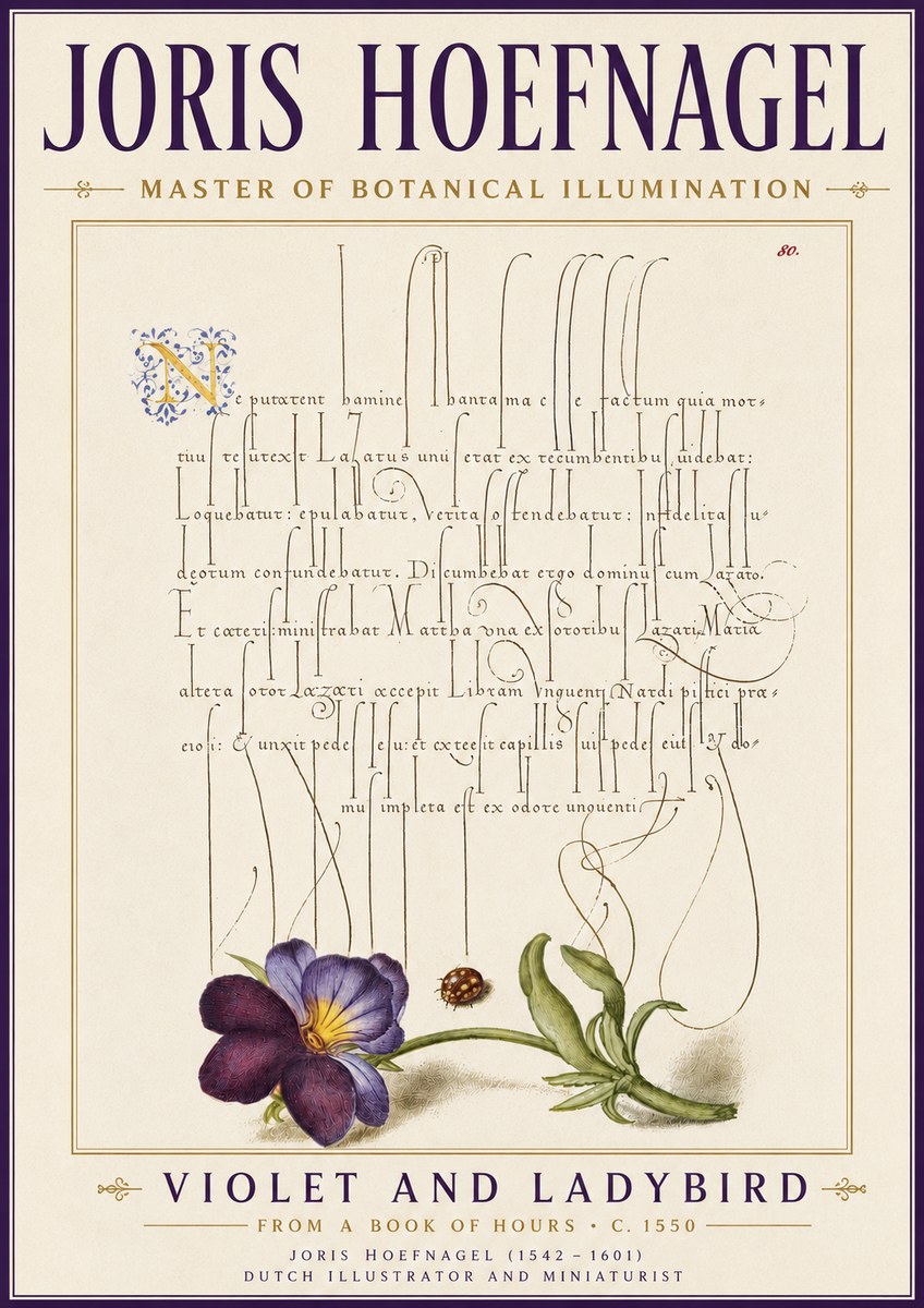 Joris Hoefnagel Violet and Ladybird No6 - Póster